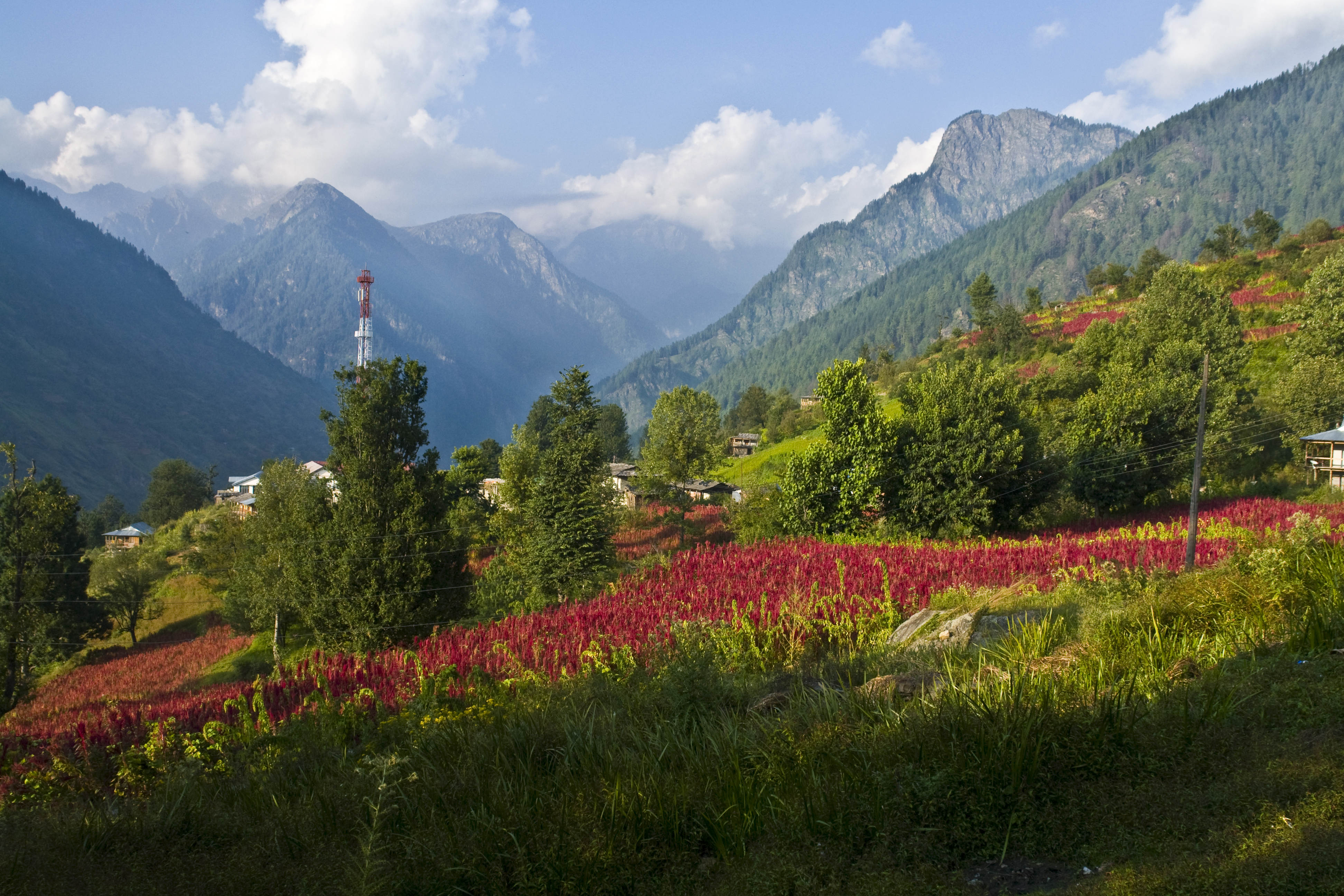 Image result for rohru himachal travel